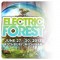 2013 Electric Forest Giveaway!