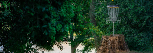 usdgc throw pink womens championship