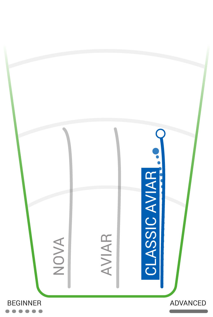 Classic Aviar Flight Path