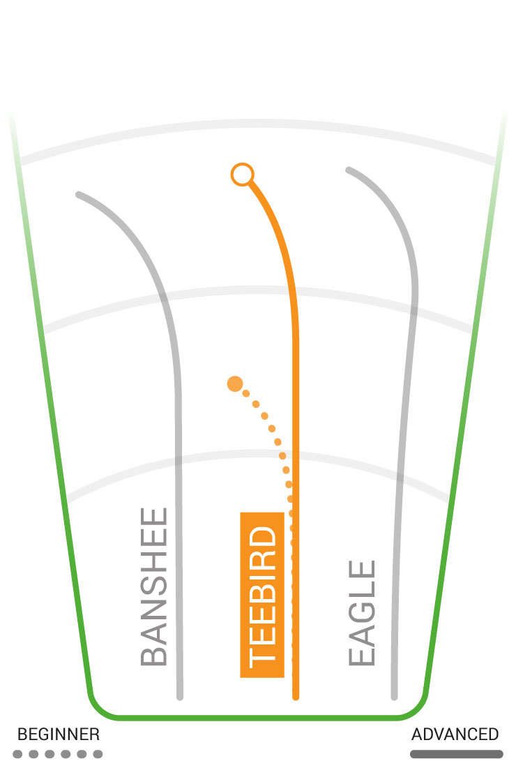 TeeBird Flight Path