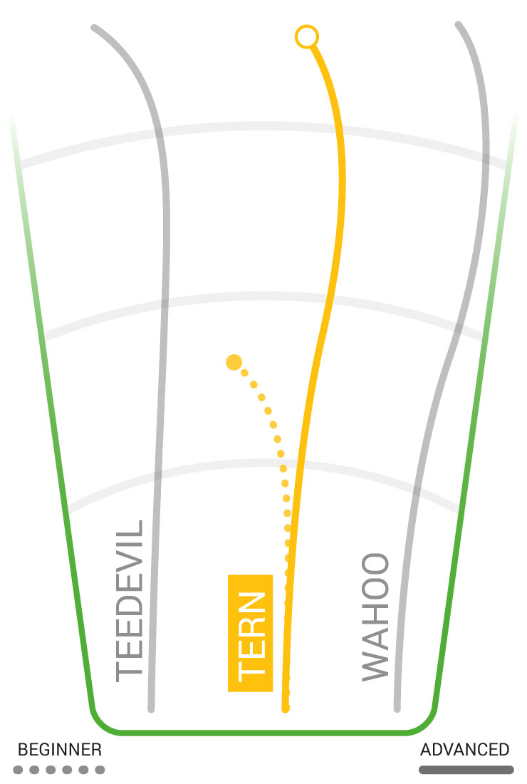 Tern Flight Path